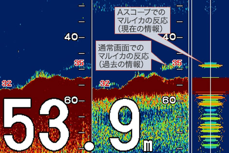 マルイカを追う vol.4 魚探写真